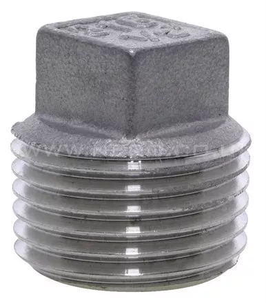 1 in. MNPT 150# Global Square Head 304 Stainless Steel Plug