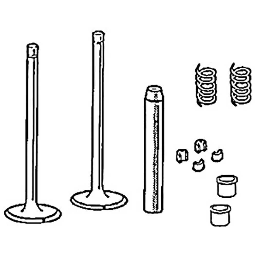 1019742M1 Intake Valve Fits Massey Ferguson Tractor Models 65 165 3165