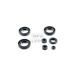 Arctic Cat ATV 4 cycle Oil Seal Set