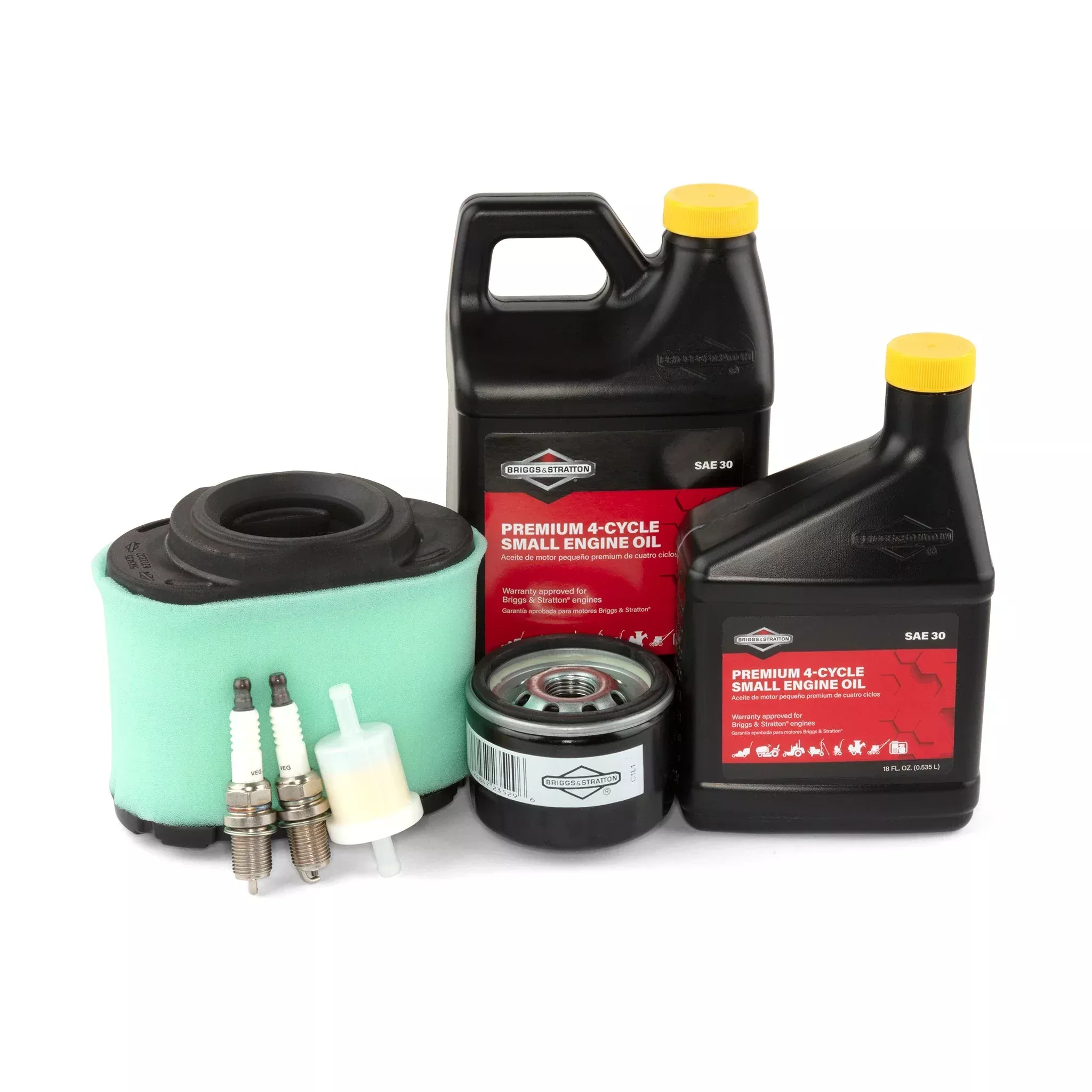 Briggs & Stratton 84002317 Intake Engine Maintenance Kit