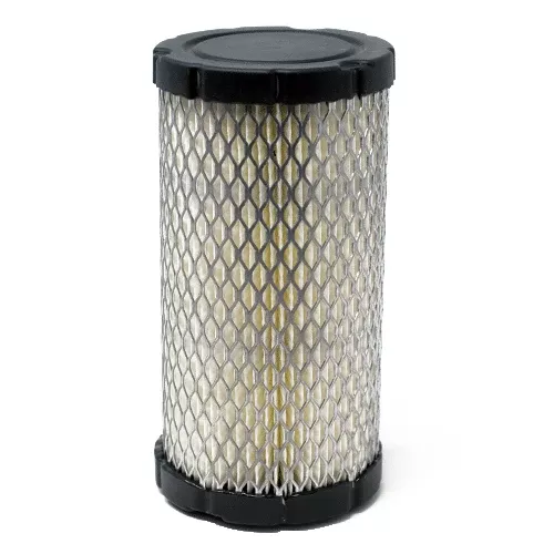 Briggs & Stratton Air Filter (793569)