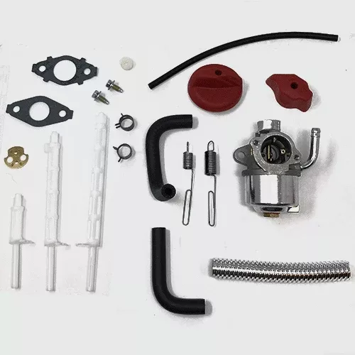 Briggs & Stratton Carburetor (798917)