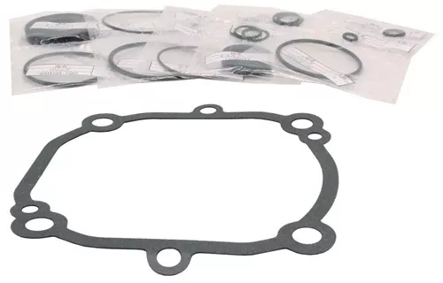Hustler OEM 603362 Danfoss DDC20 Seal Kit
