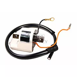 Ignition coil for many newer Yamaha models. See detailed description.