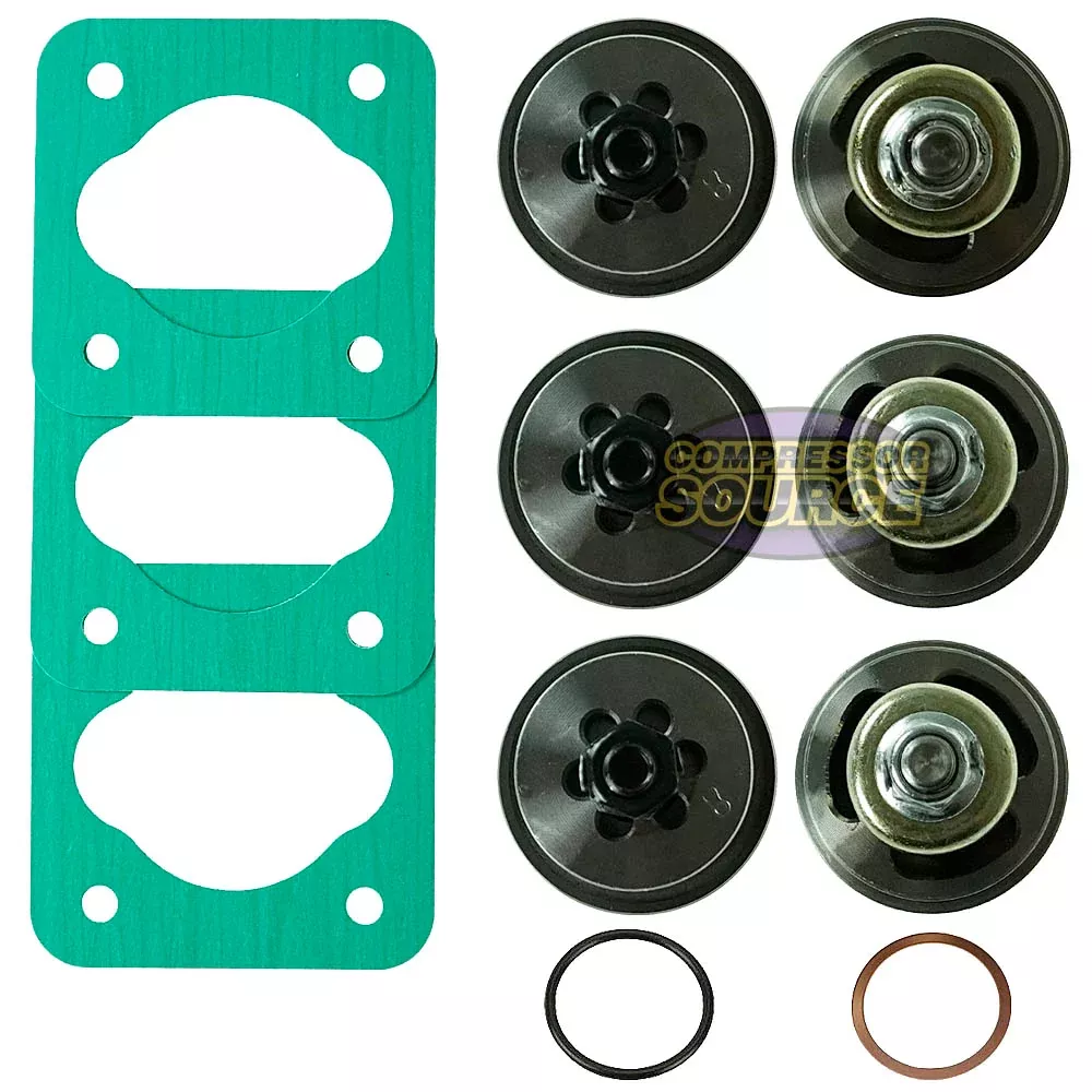 Valve Set-Head Overhaul Kit For Curtis Challenge & Air Fusheng Pump VS
